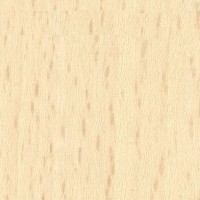 Hoja de chapa de Haya blanca - Hoja de chapa de madera de Haya blanca de 0,6 mm. de espesor ( Precio por metro cuadrado )