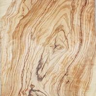 Pliego de chapa de Olivo - Pliego de chapa de madera de Olivo de 60 x 25 cm. aproximadamente y 0,6 mm. de espesor.