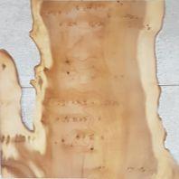 Pliego de chapa de Tejo - Pliego de chapa de madera de Tejo de 60 x 25 cm. aproximadamente y 0,6 mm. de espesor.
