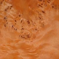 Muestra de chapa de raz o louppe de mappa teida de naranja - Muestra de chapa de raz de mappa teida de color naranja de 0,6 mm. de espesor