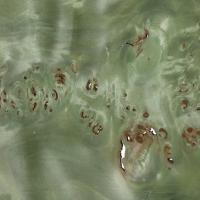 Muestra de chapa de raz o louppe de mappa teida de verde claro - Muestra de chapa de raz de mappa teida de color verde claro de 0,6 mm. de espesor